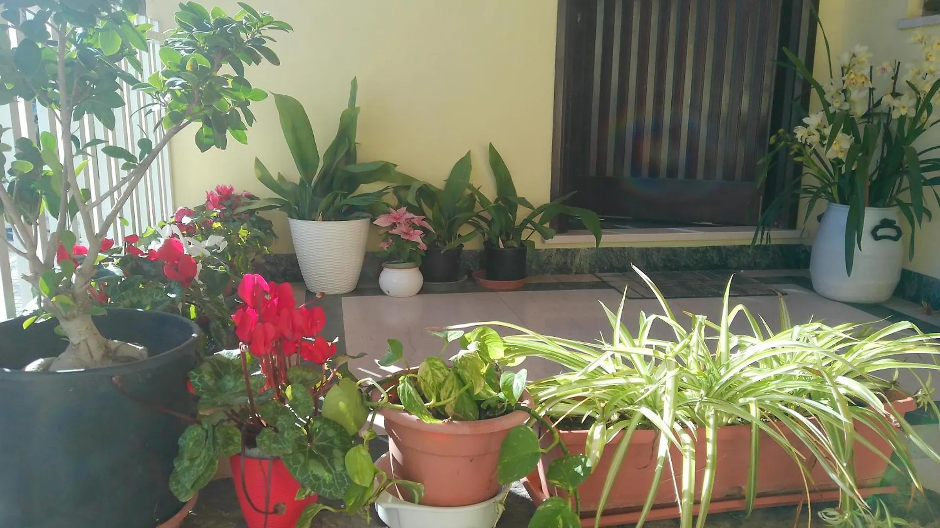 בית נופש אוריסטאנו Cappuccini Apartments איטליה